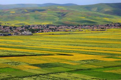2016冬季廣東租車自駕游好去處