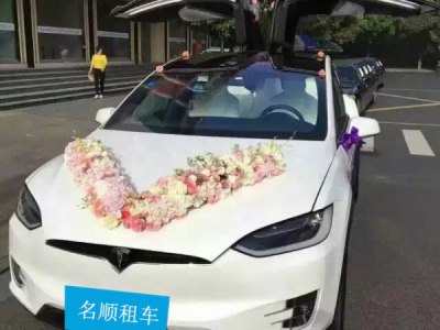 【花車】特斯拉Model X